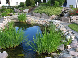 Teichanlage von Gartenbau Ihringer